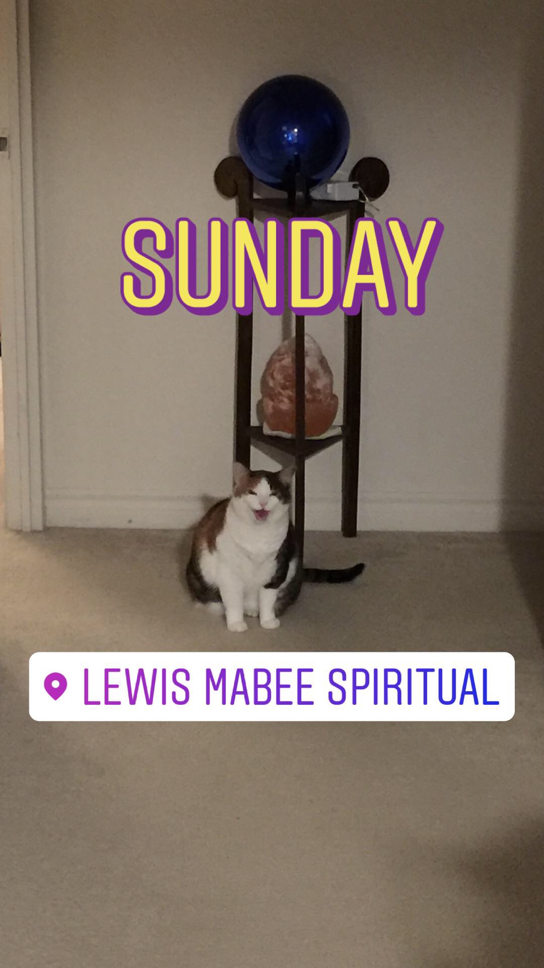 Cleo on A Sunday