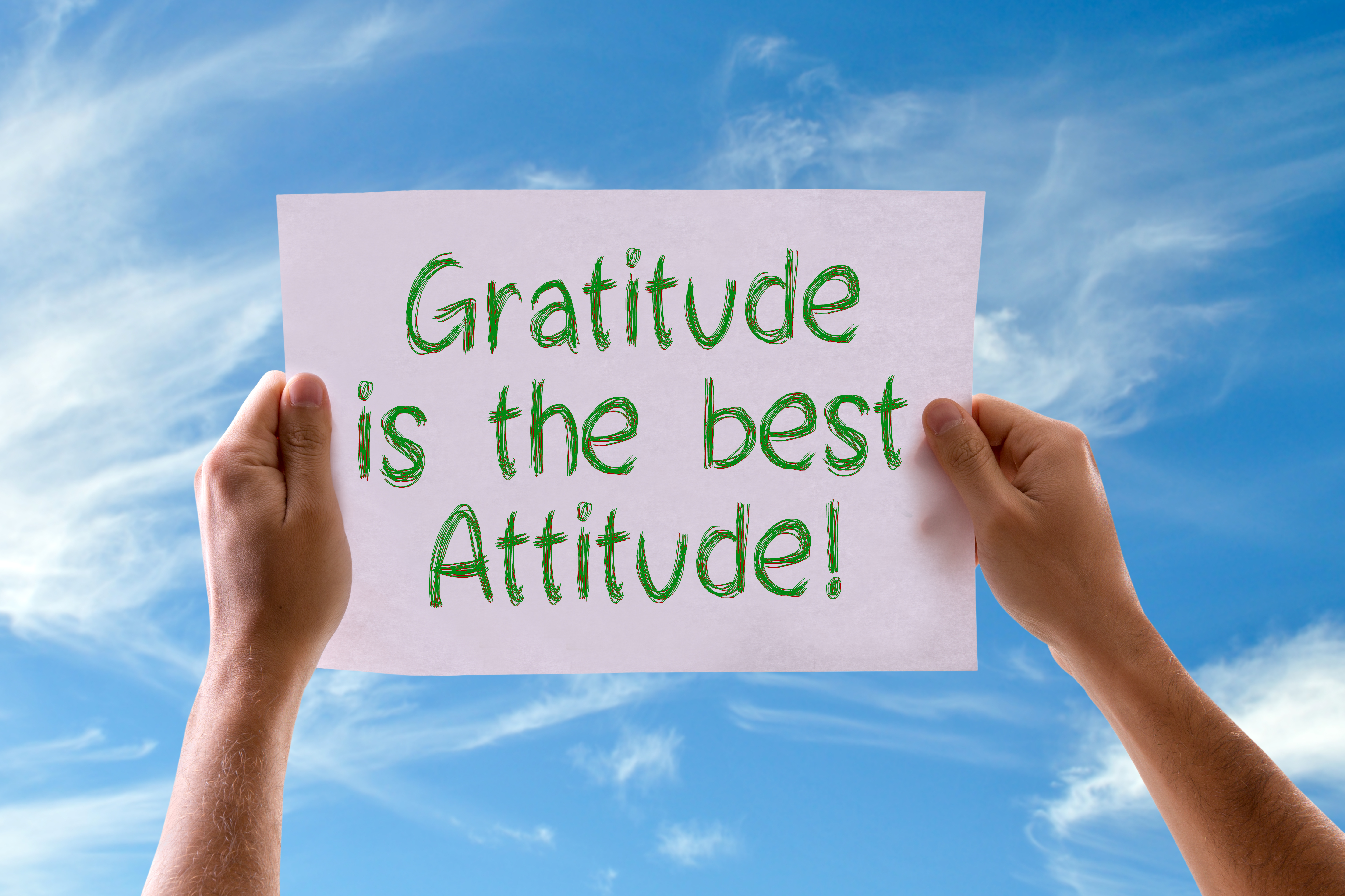 Starting A Sentence With Gratitude